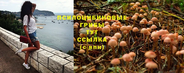крисы Нягань