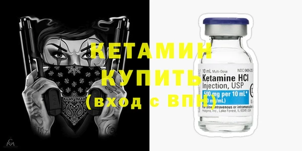 прущие грибы Няндома