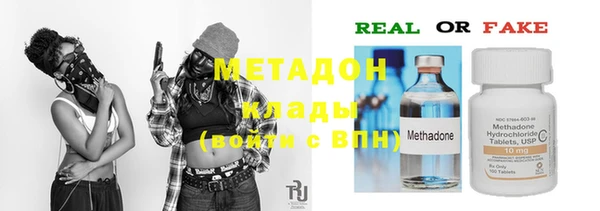прущие грибы Няндома