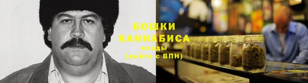 прущие грибы Няндома