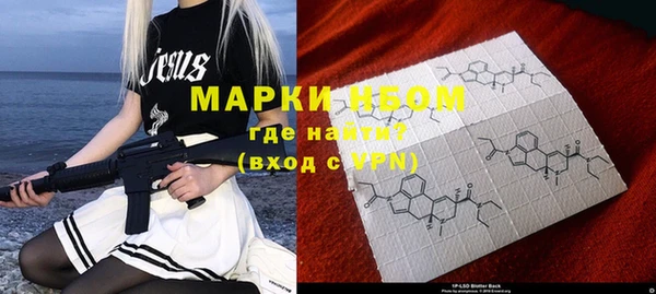 прущие грибы Няндома