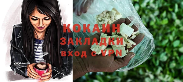 прущие грибы Няндома