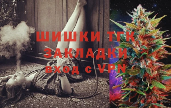 прущие грибы Няндома