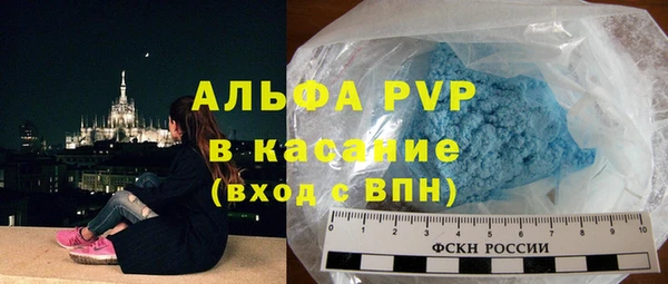 прущие грибы Няндома