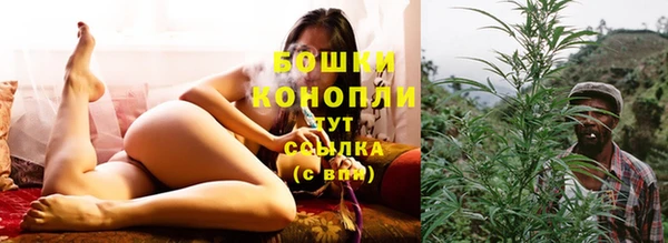 крисы Нягань