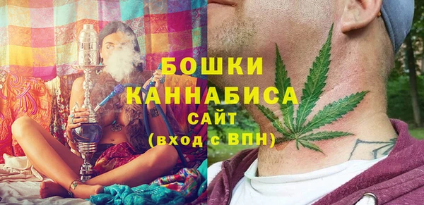 индика Вязники