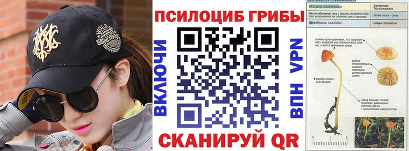 Галлюциногенные грибы ЛСД  блэк спрут как войти  Ишимбай 
