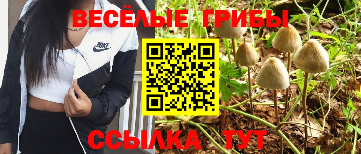 Галлюциногенные грибы Psilocybine cubensis Ишимбай