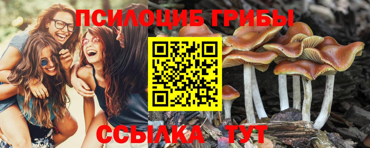 Галлюциногенные грибы ЛСД  Вход с VPN  Галлюциногенные грибы Psilocybe  Ишимбай 